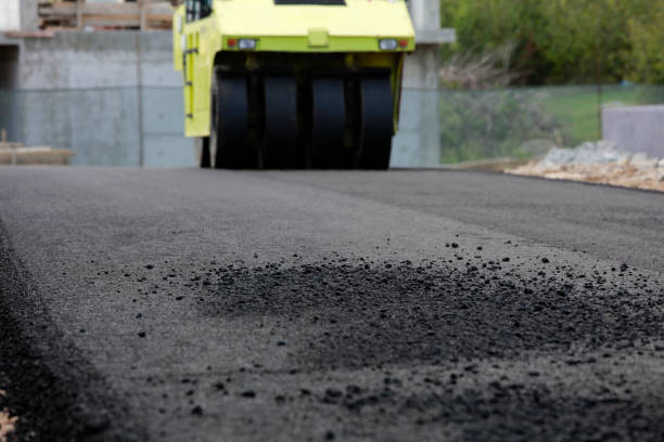 Best Interlocking Driveway Pavers  in Paloma Creek South, TX