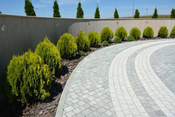 Best Permeable Paver Driveway  in Paloma Creek South, TX