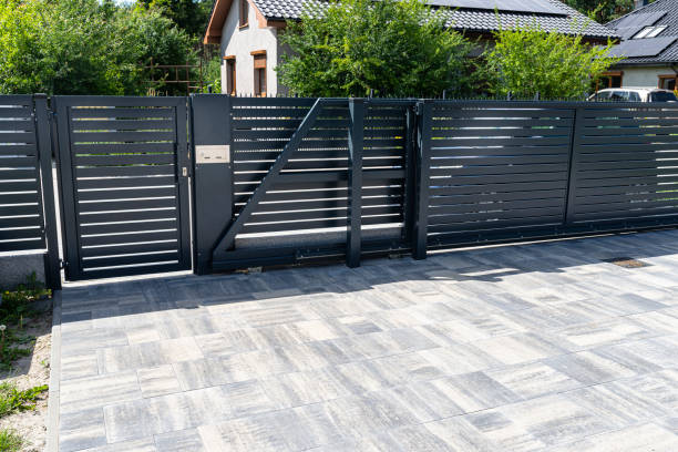 Best Local Driveway Pavers  in Paloma Creek South, TX